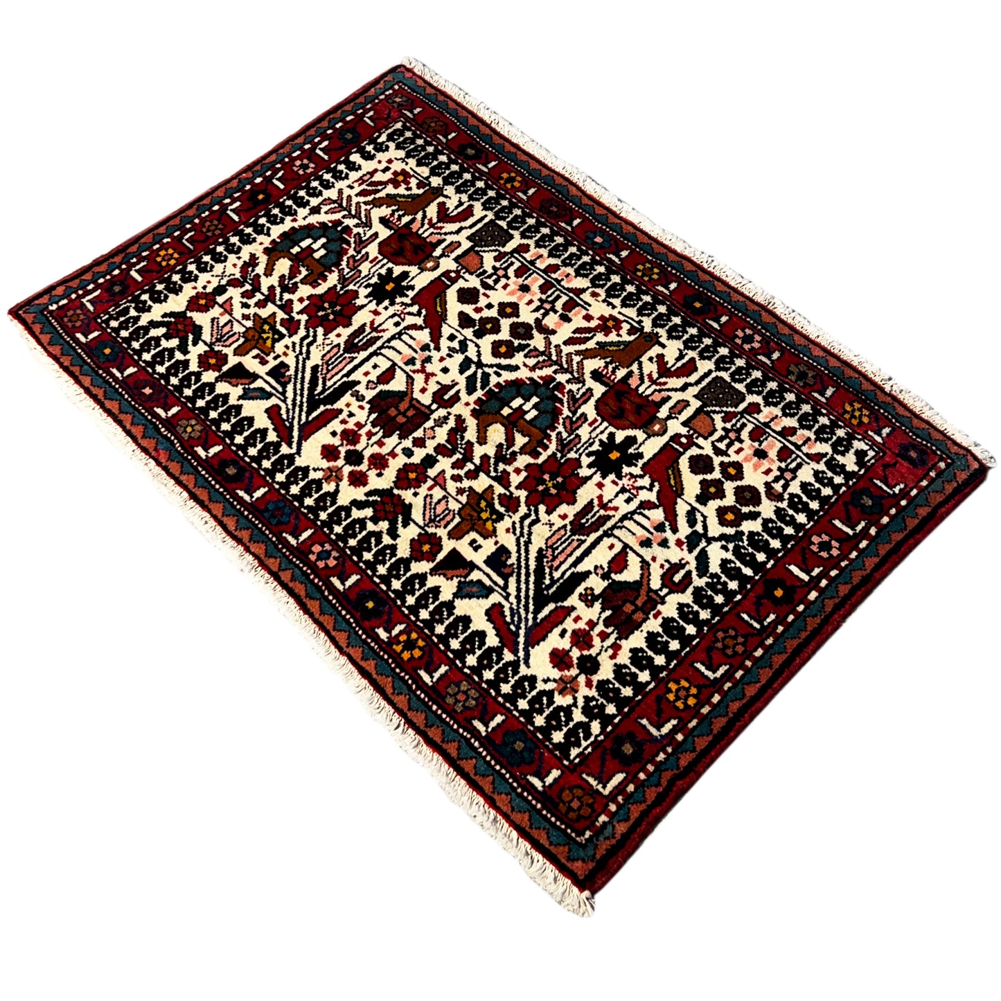 Poshti Teppich, Bunt, 104x68cm - Premium Poshti Teppich from German Carpet Shop - Just €199! Shop now at German Carpet Shop