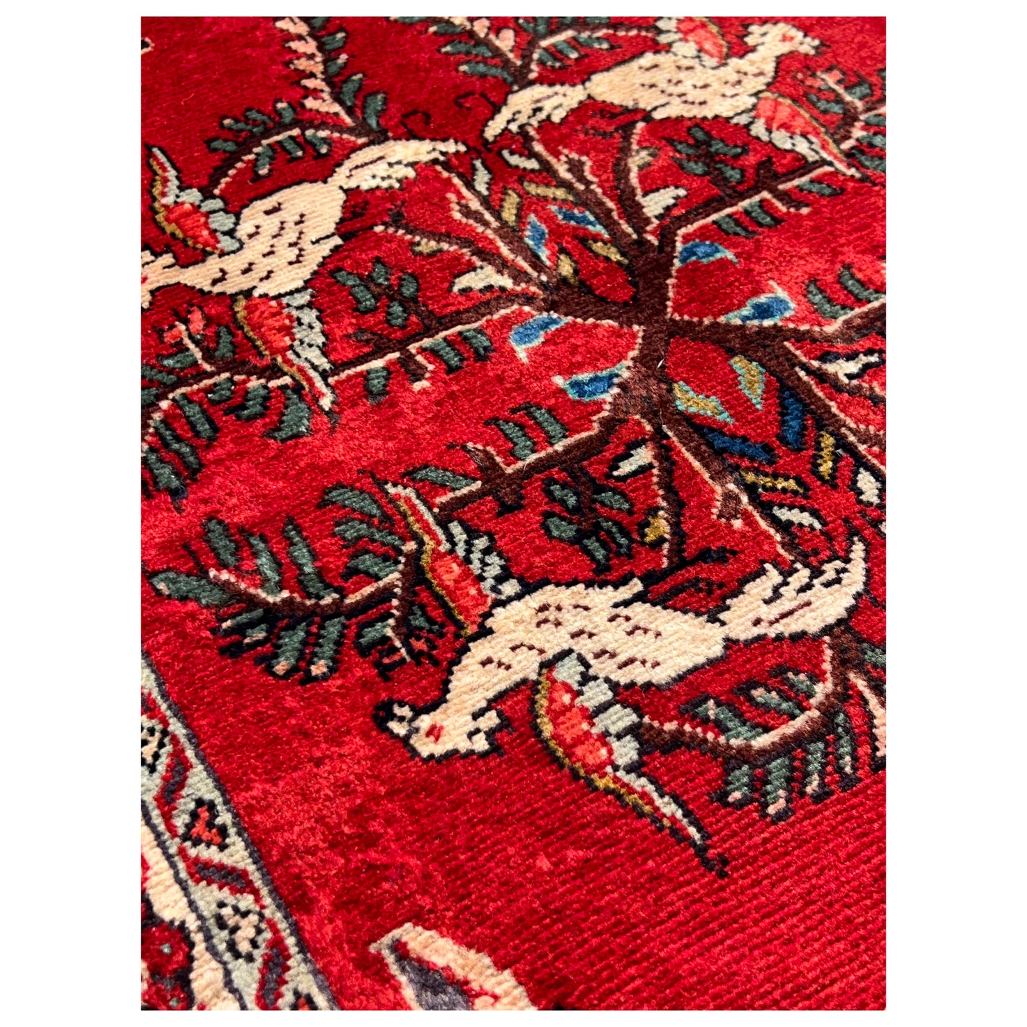 Poshti Teppich, Rot, 102x62cm - Premium Poshti Teppich from German Carpet Shop - Just €199! Shop now at German Carpet Shop
