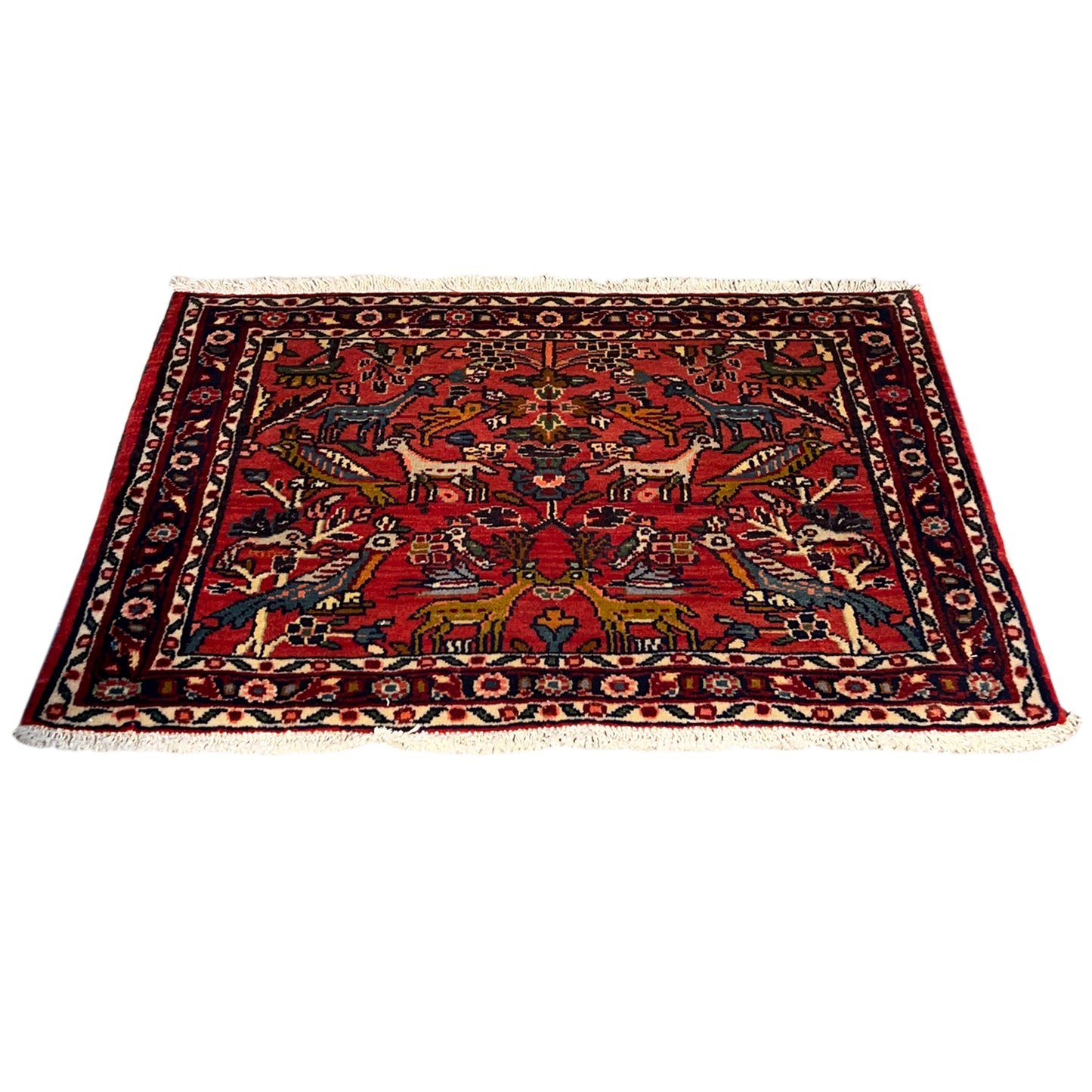Poshti Teppich, Rot, 77x51cm - Premium Poshti Teppich from German Carpet Shop - Just €170! Shop now at German Carpet Shop
