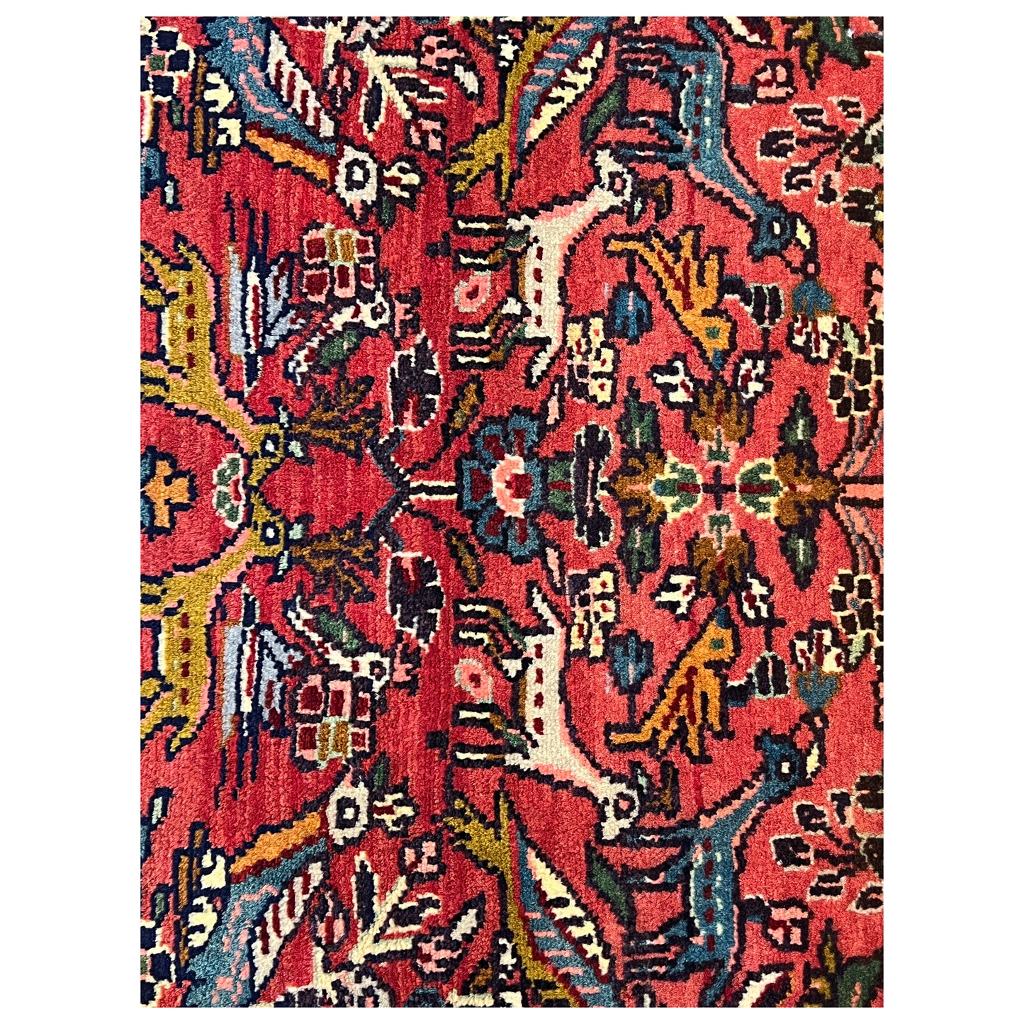 Poshti Teppich, Rot, 77x51cm - Premium Poshti Teppich from German Carpet Shop - Just €170! Shop now at German Carpet Shop