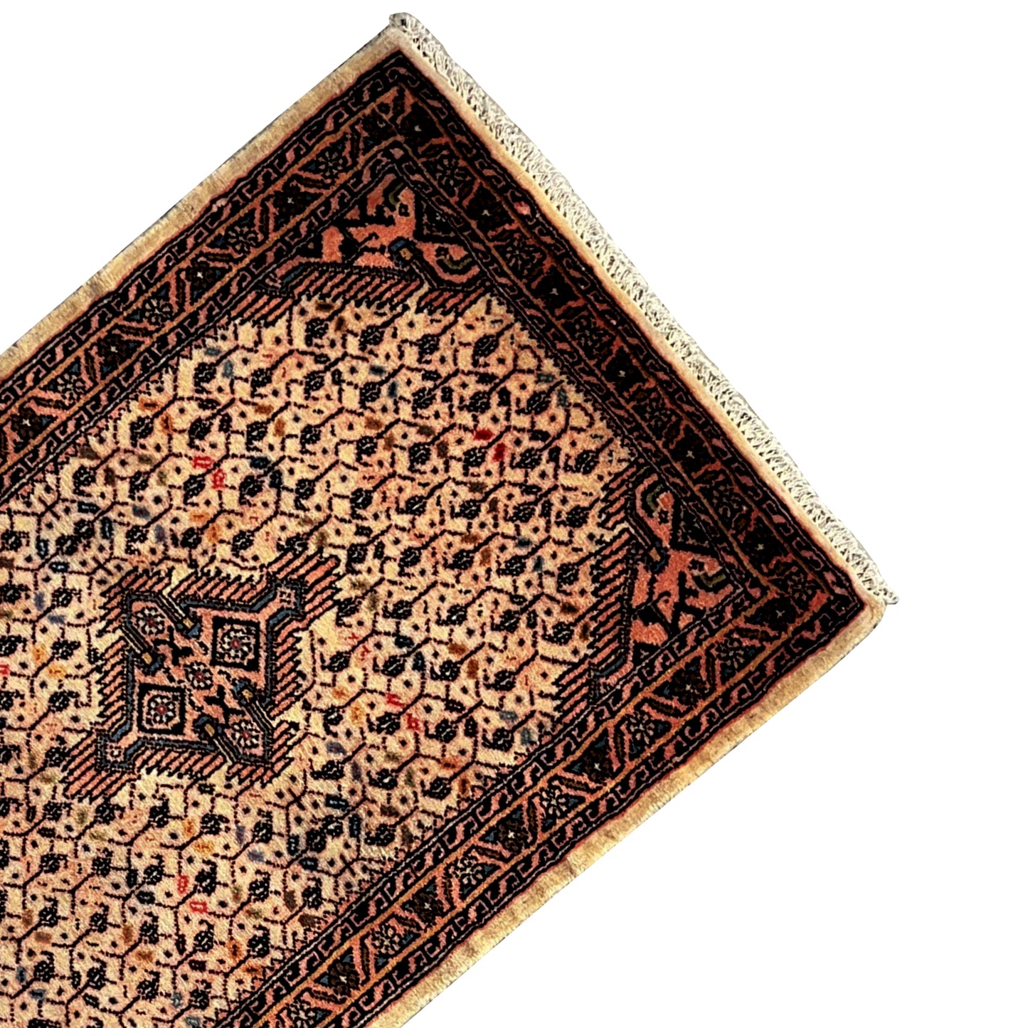 Poshti Teppich, Beige, 92x61cm - Premium Poshti Teppich from German Carpet Shop - Just €199! Shop now at German Carpet Shop