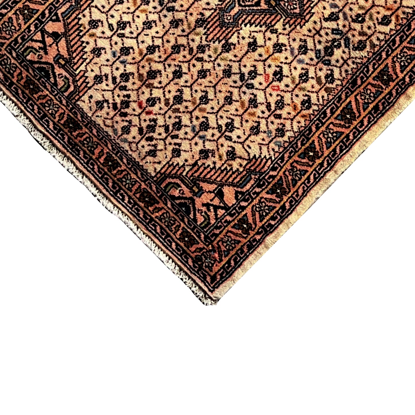 Poshti Teppich, Beige, 92x61cm - Premium Poshti Teppich from German Carpet Shop - Just €199! Shop now at German Carpet Shop