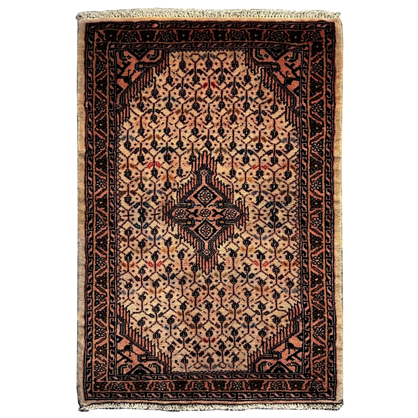 Poshti Teppich, Beige, 92x61cm - Premium Poshti Teppich from German Carpet Shop - Just €199! Shop now at German Carpet Shop