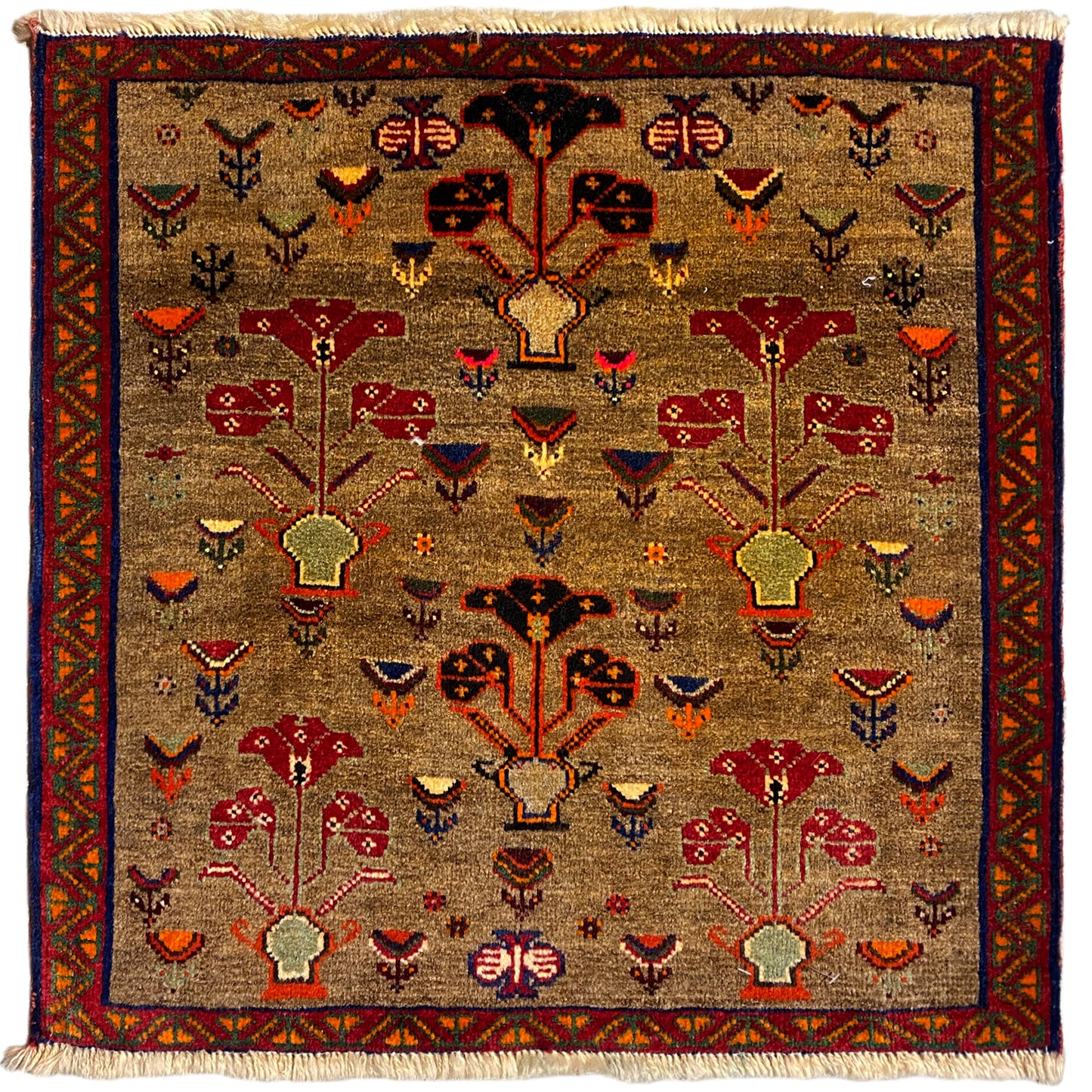 Poshti Teppich - 63x61 cm