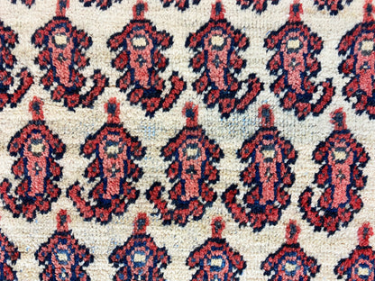 Arak Teppich - 308x197 cm