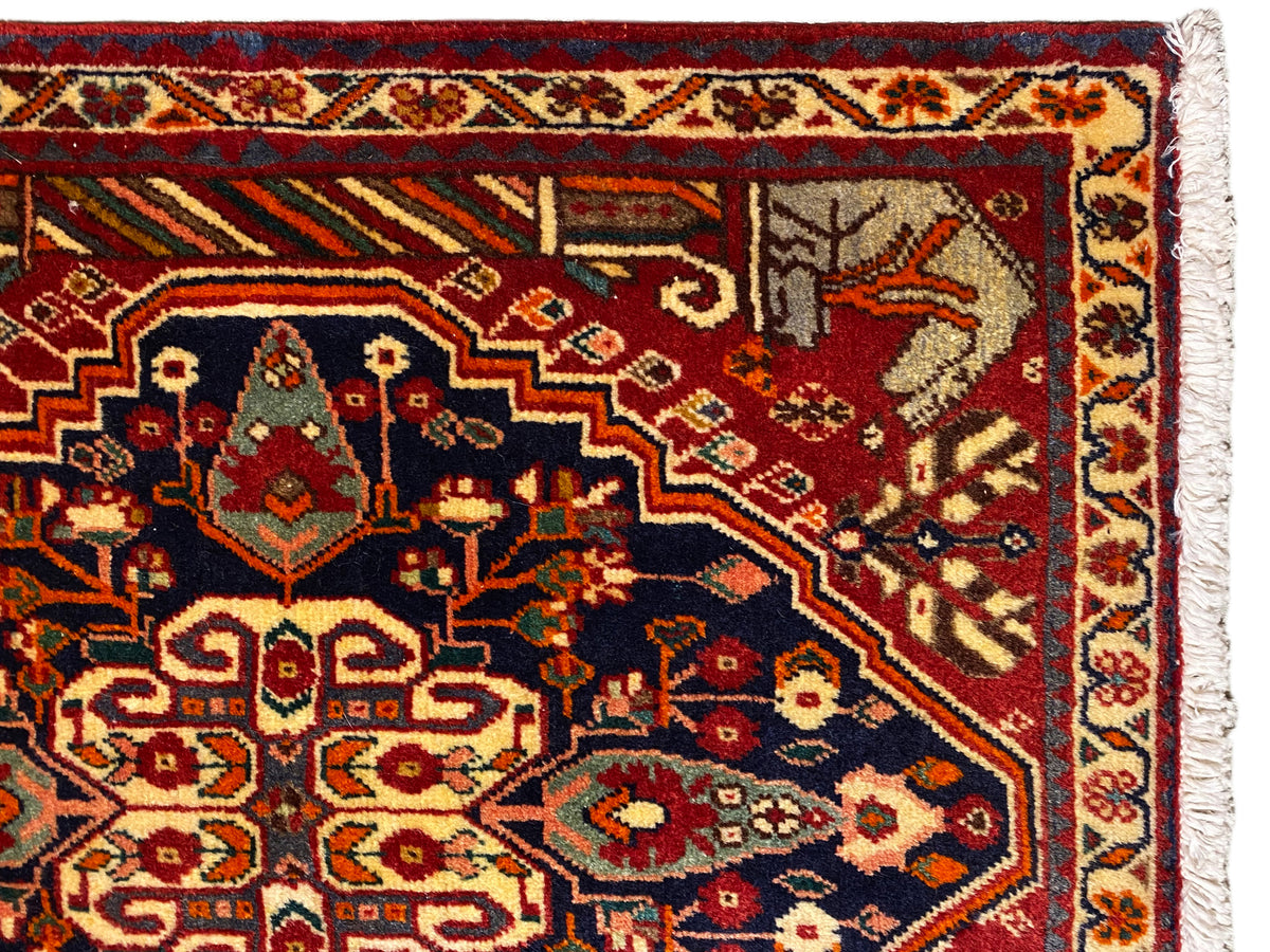 Tappeto 65x59 cm vista ravvicinata: bordura multicolore, ornamenti decorativi, bordo tessuto